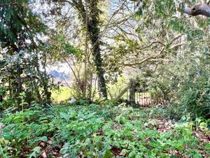 Garden- click for photo gallery